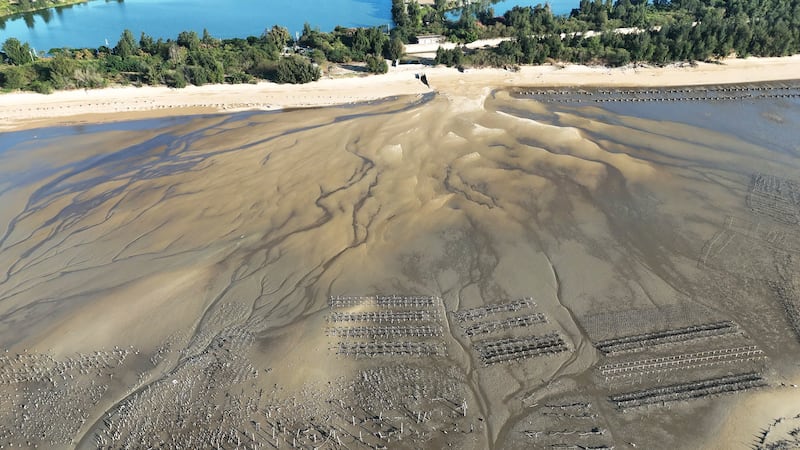 这几年金门海岸底质出现明显变化,图为烈屿中墩沙化的潮间带。