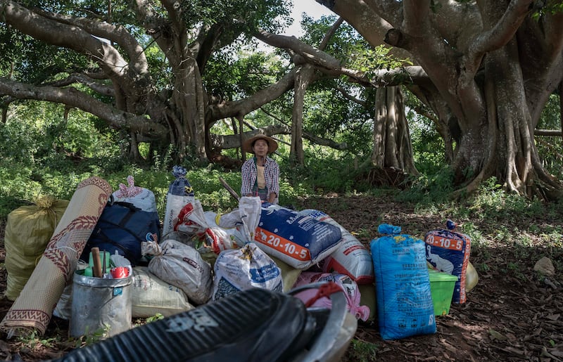 Than Aye, 54, sits in the shade of a giant banyan tree among several bags of freshly harvested rice after being dropped off from a KNDF-supplied truck in South Shan state, Myanmar, Oct. 30, 2024.