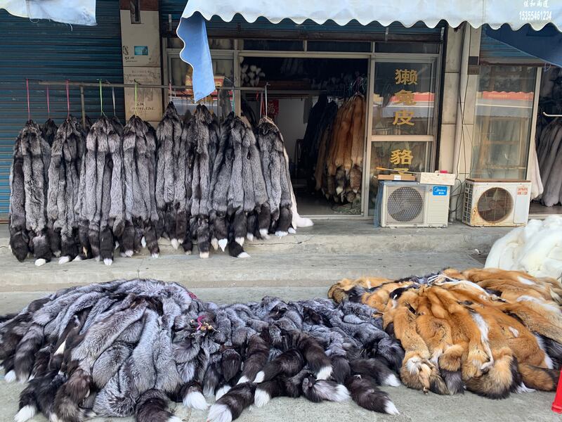 中国每年有上千万只皮草动物被宰杀、取皮，官方近年推行屠体饲料化，“变废为宝”背后暗藏健康风险。